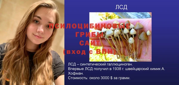 2c-b Алексин