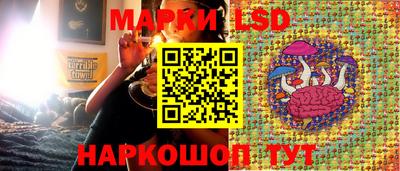 ECSTASY Новокубанск