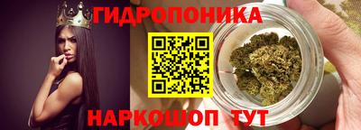 ешки Новозыбков